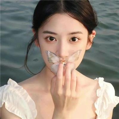 棉尾兔